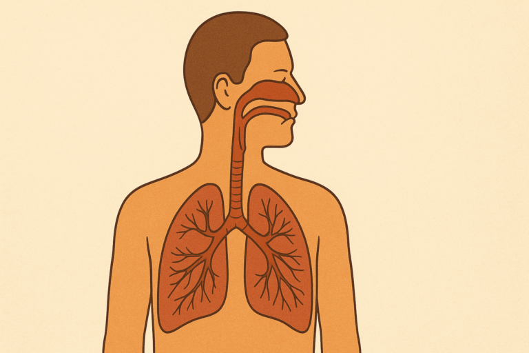From Wheeze to Ease: An Ayurvedic Guide to Breathing Freely