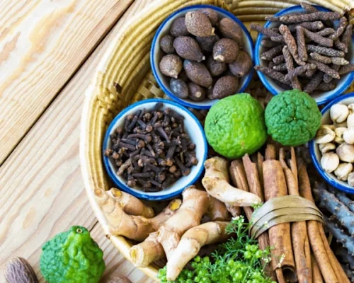 ayurveda-mit-den-sreelals-600w